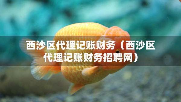西沙区代理记账财务（西沙区代理记账财务招聘网）