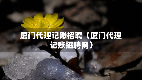 厦门代理记账招聘（厦门代理记账招聘网）