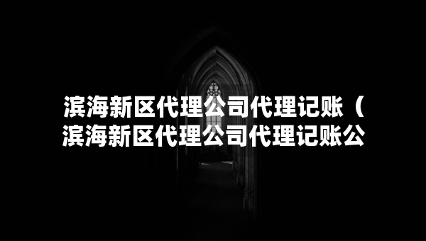 滨海新区代理公司代理记账（滨海新区代理公司代理记账公司电话）