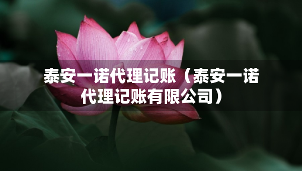 泰安一诺代理记账（泰安一诺代理记账有限公司）