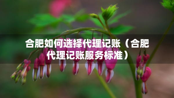 合肥如何选择代理记账（合肥代理记账服务标准）