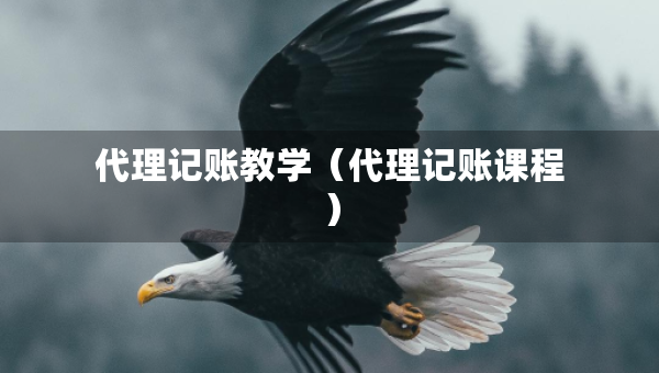 代理记账教学（代理记账课程）