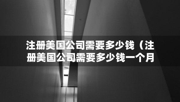 注册美国公司需要多少钱（注册美国公司需要多少钱一个月）