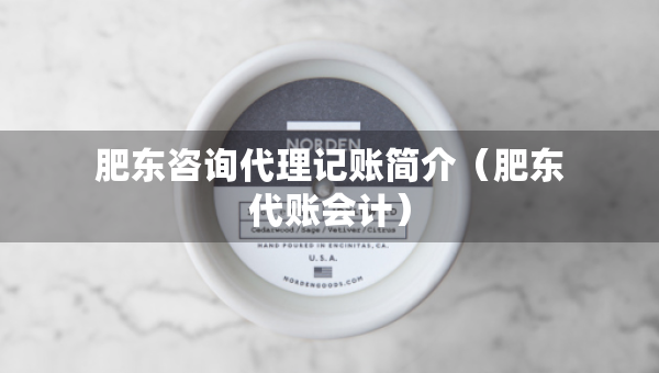 肥东咨询代理记账简介（肥东代账会计）