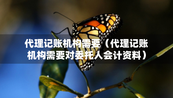 代理记账机构需要（代理记账机构需要对委托人会计资料）