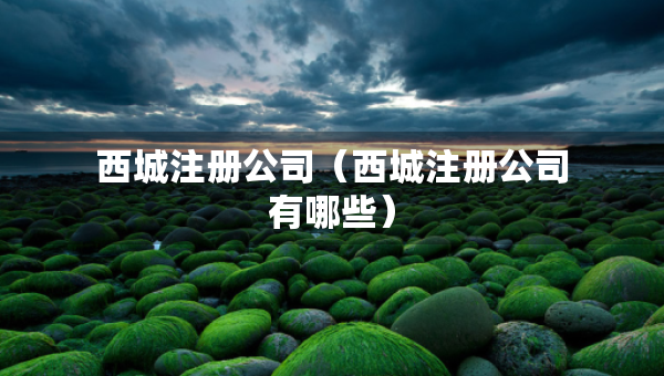 西城注册公司（西城注册公司有哪些）