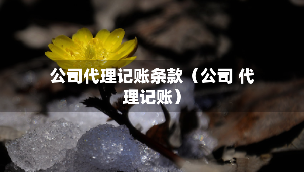 公司代理记账条款（公司 代理记账）