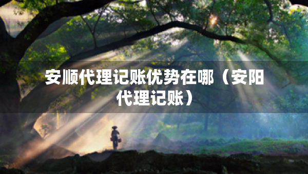 安顺代理记账优势在哪（安阳代理记账）