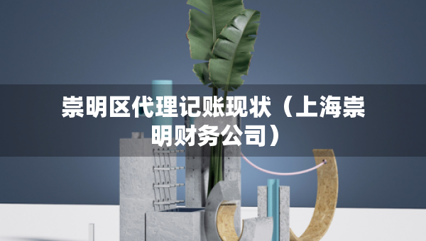 崇明区代理记账现状（上海崇明财务公司）