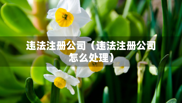 违法注册公司（违法注册公司怎么处理）