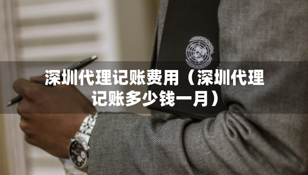 深圳代理记账费用（深圳代理记账多少钱一月）
