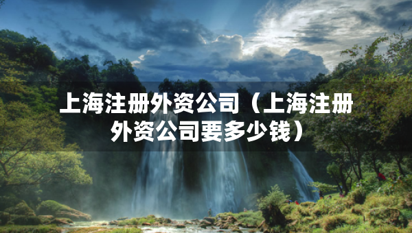 上海注册外资公司（上海注册外资公司要多少钱）