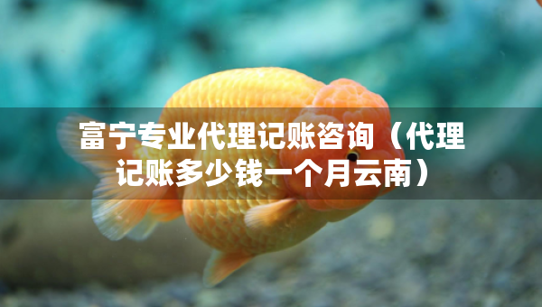 富宁专业代理记账咨询（代理记账多少钱一个月云南）