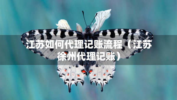 江苏如何代理记账流程（江苏徐州代理记账）