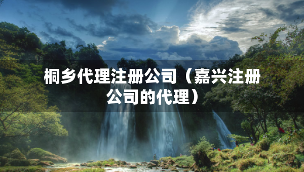 桐乡代理注册公司（嘉兴注册公司的代理）