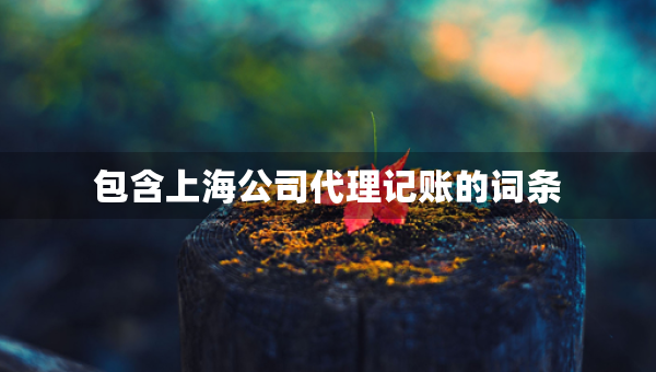 包含上海公司代理记账的词条
