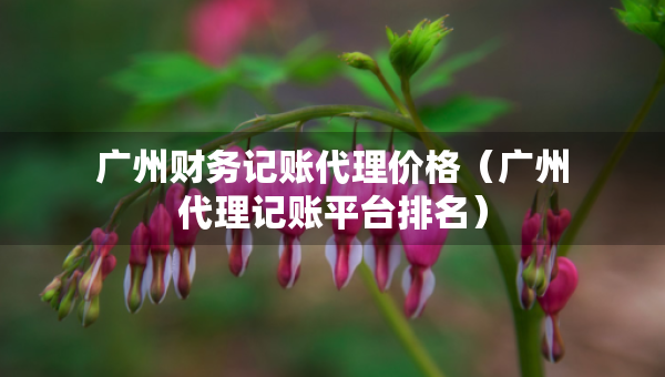 广州财务记账代理价格（广州代理记账平台排名）