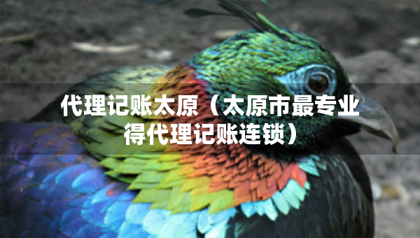 代理记账太原（太原市最专业得代理记账连锁）