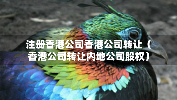 注册香港公司香港公司转让（香港公司转让内地公司股权）