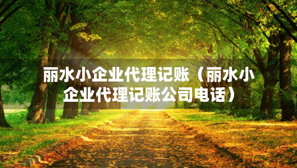 丽水小企业代理记账（丽水小企业代理记账公司电话）