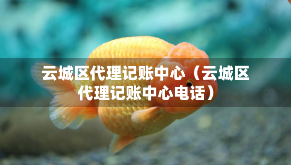 云城区代理记账中心（云城区代理记账中心电话）