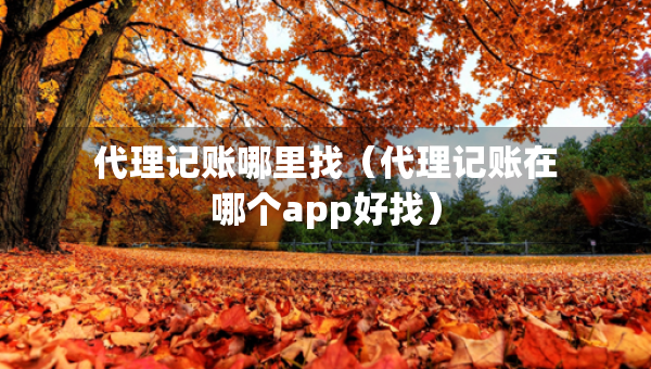 代理记账哪里找（代理记账在哪个app好找）