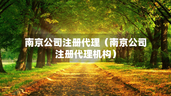 南京公司注册代理（南京公司注册代理机构）