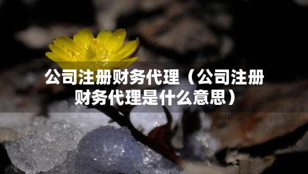 公司注册财务代理（公司注册财务代理是什么意思）