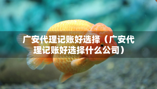 广安代理记账好选择（广安代理记账好选择什么公司）