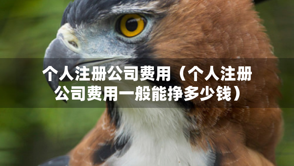 个人注册公司费用（个人注册公司费用一般能挣多少钱）