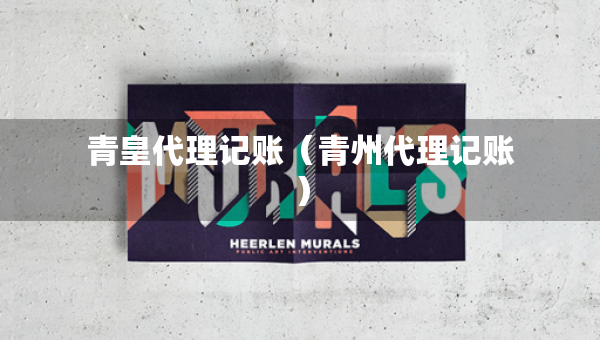 青皇代理记账（青州代理记账）