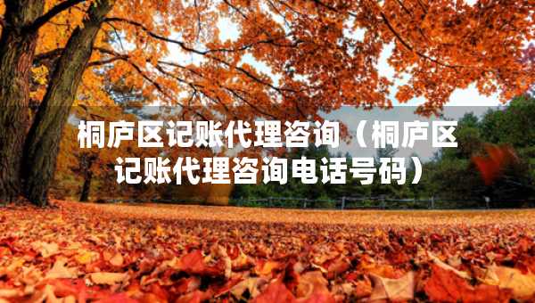 桐庐区记账代理咨询（桐庐区记账代理咨询电话号码）