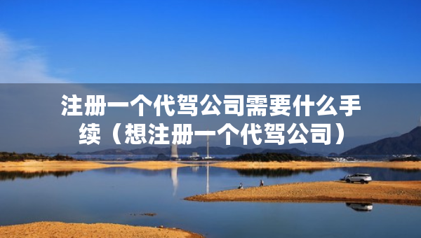 注册一个代驾公司需要什么手续（想注册一个代驾公司）