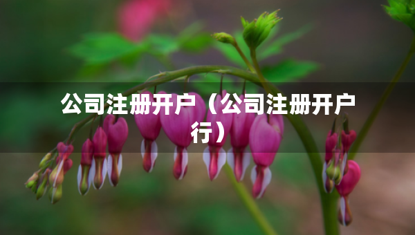 公司注册开户（公司注册开户行）