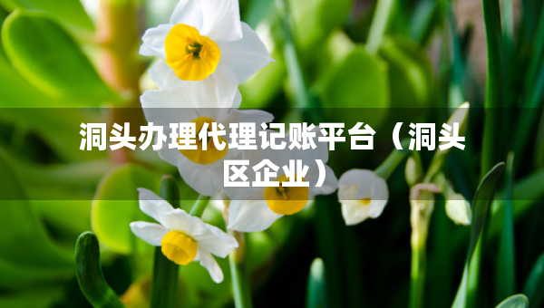 洞头办理代理记账平台（洞头区企业）