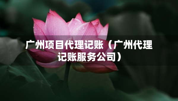 广州项目代理记账（广州代理记账服务公司）