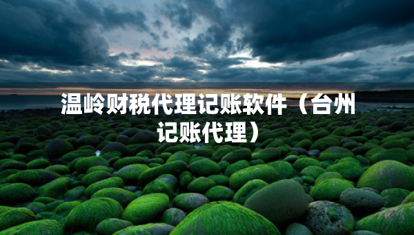 温岭财税代理记账软件（台州记账代理）