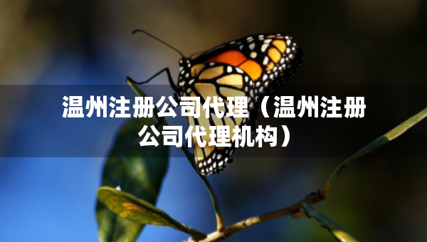 温州注册公司代理（温州注册公司代理机构）