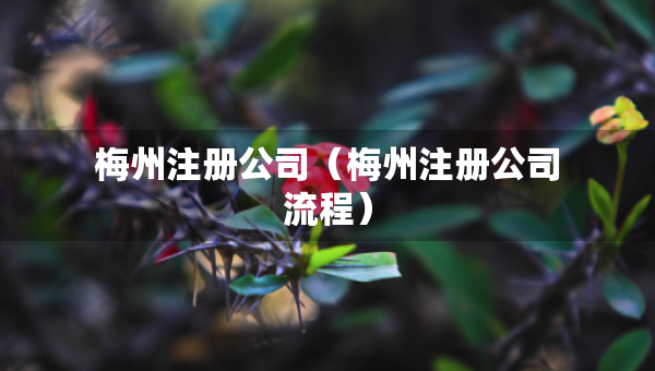 梅州注册公司（梅州注册公司流程）
