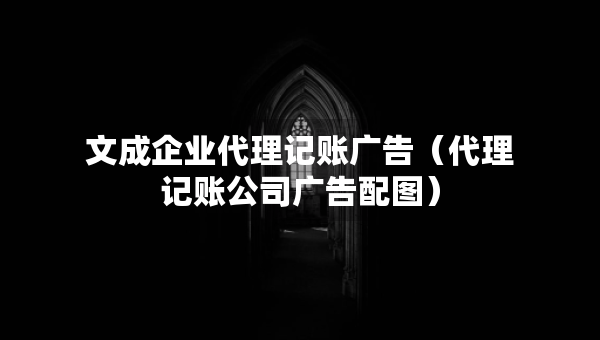 文成企业代理记账广告（代理记账公司广告配图）