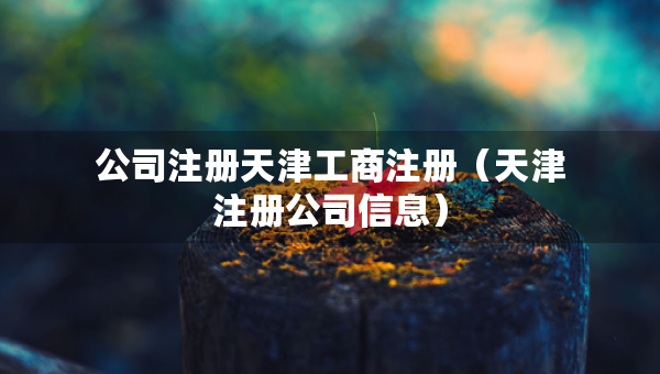 公司注册天津工商注册（天津注册公司信息）
