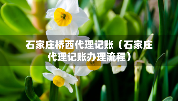 石家庄桥西代理记账（石家庄代理记账办理流程）