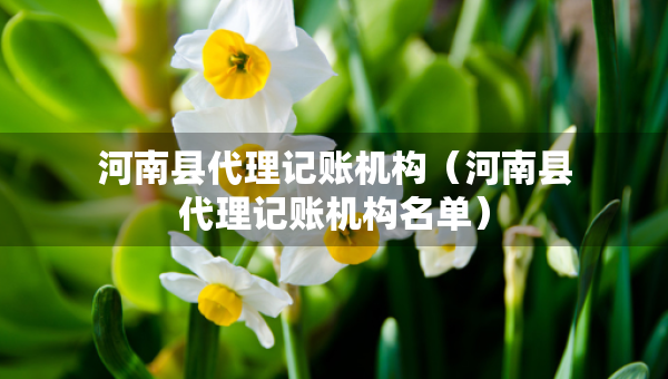 河南县代理记账机构（河南县代理记账机构名单）