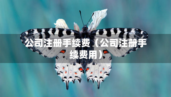 公司注册手续费（公司注册手续费用）