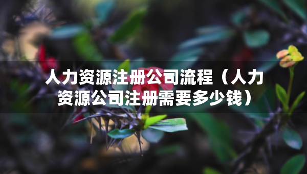人力资源注册公司流程（人力资源公司注册需要多少钱）