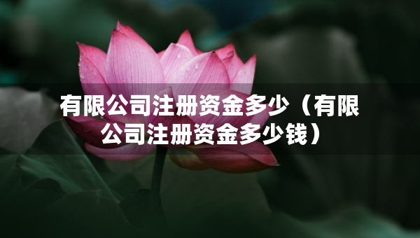有限公司注册资金多少（有限公司注册资金多少钱）