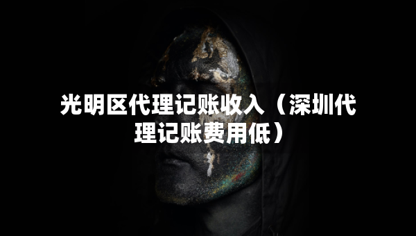 光明区代理记账收入（深圳代理记账费用低）
