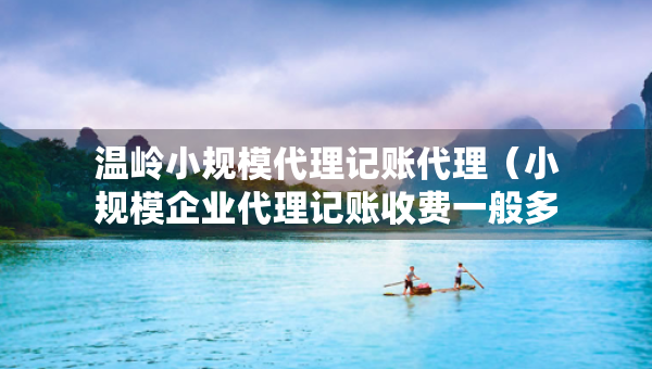 温岭小规模代理记账代理（小规模企业代理记账收费一般多少）