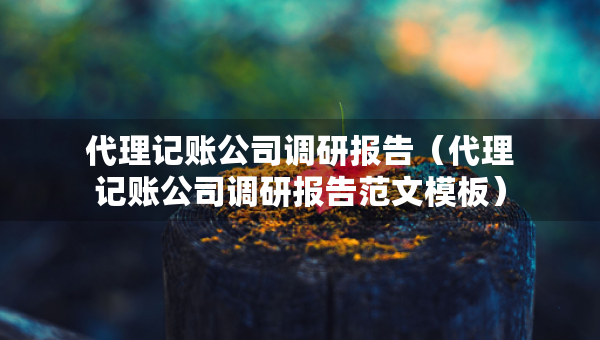 代理记账公司调研报告（代理记账公司调研报告范文模板）