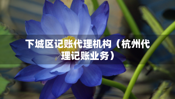下城区记账代理机构（杭州代理记账业务）